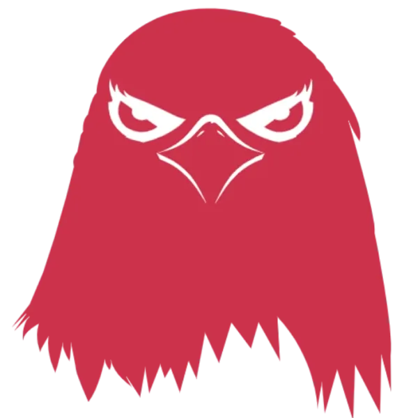 The Angry Bird